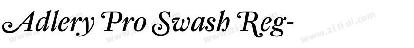 Adlery Pro Swash Reg字体转换